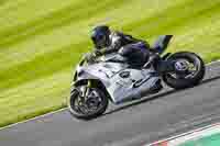 Advanced Group White Bikes
